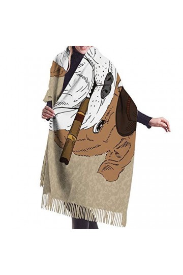 Pancho Femme Chicbulldog-Femmes Dessin Animé Couverture Concepteur Pashmina Laine Châle pour Soirée Mariage Mode Foulards Mex