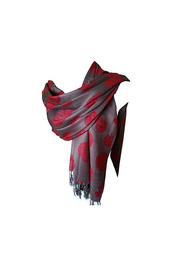 Écharpe pashmaina en viscose douce et chaude, gris, L