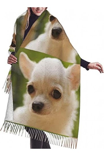 FJAUOQ Écharpe à franges pour femme - Chaud - Long châle - Blanc sain - 68,6 x 190,8 cm, Comme indiqué sur la photo, taille u