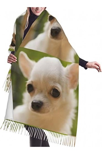 FJAUOQ Écharpe à franges pour femme - Chaud - Long châle - Blanc sain - 68,6 x 190,8 cm, Comme indiqué sur la photo, taille u