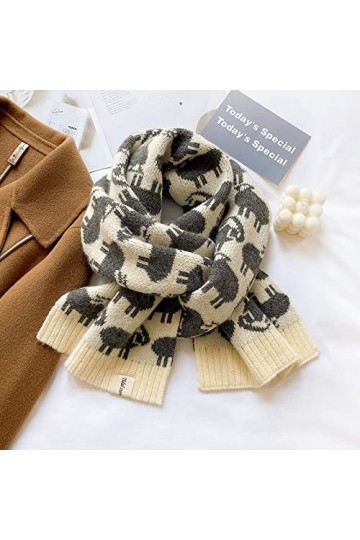 WYCSDD Écharpe tricotée Chaude dhiver pour Les Femmes imprimé Cachemire Pashmina Foulard châle étoles féminines, 03