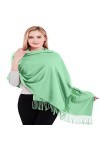 CJ Apparel Pashmina Châle épais en coton mélangé de couleur unie, bleu / vert, taille unique