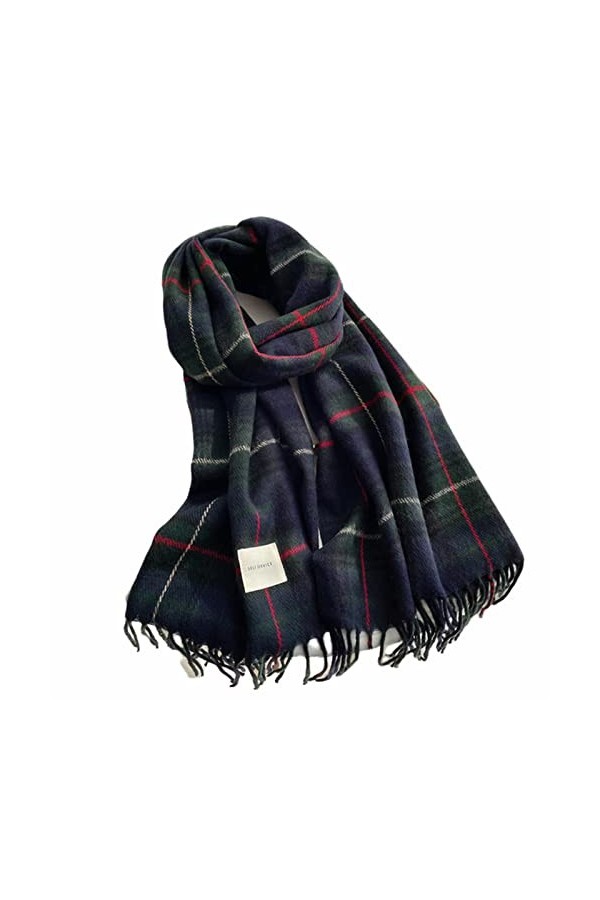 Écharpe Écharpe dhiver Chaude Épaisse Conception Imprimée Femmes en Cachemire Pashmina Châle Enveloppe Cailloute À Glands Tr