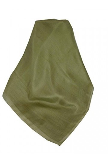 Pashmina & Silk Echarpe Traditional Soie du Mûrier Teinte à la Main Taupe de