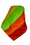 Pashmina & Silk Soie du Mûrier Foulard Maniam Palette de Rainbow Traditional de