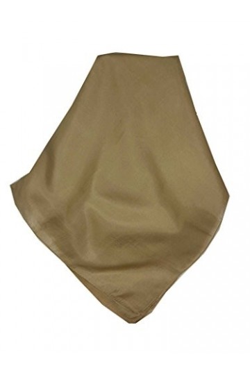 Pashmina & Silk Foulard Traditional Soie du Mûrier Teinte à la Main Mocha de