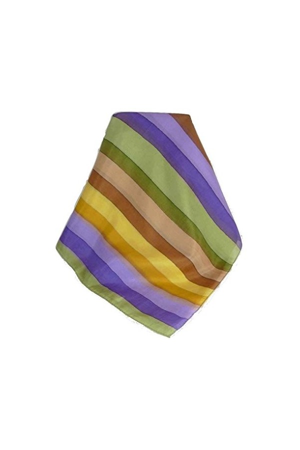 Pashmina & Silk Soie du Mûrier Foulard Ankola Palette de Rainbow Classic de