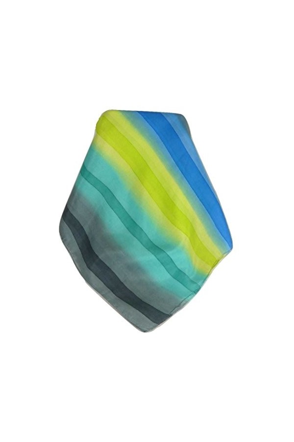 Pashmina & Silk Soie du Mûrier Foulard Kumar Palette de Rainbow Classic de