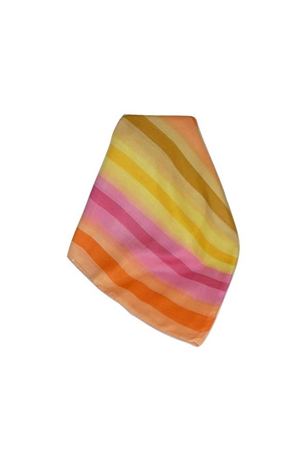 Pashmina & Silk Soie du Mûrier Foulard Loke Palette de Rainbow Classic de