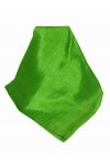 Pashmina & Silk Foulard 100% Soie Brut Prime Modèle Saigon Lua Van Citron Vert