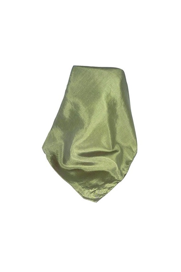 Pashmina & Silk Foulard de Soie “Tabby Weave” Heritage Emerald