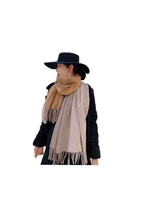 Hiver Écharpe Double face Plaid hiver femmes cachemire écharpe Pashmina châles et enveloppes avec glands Hijab laine étoles f