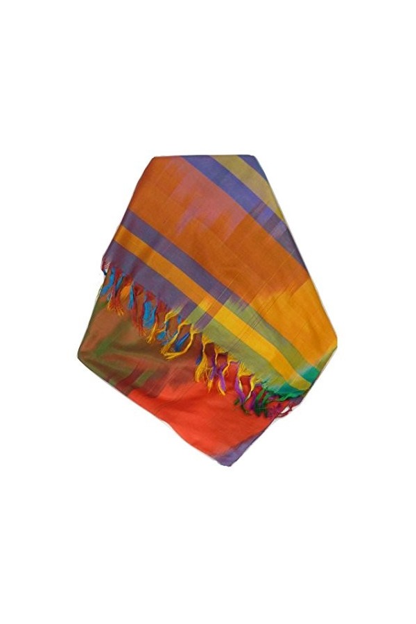 Pashmina & Silk Varanasi Ekal Foulard de Soie Masood 1 Gamme Heritage