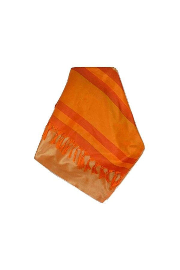 Pashmina & Silk Foulard de Soie Prime Varanasi Border Heritage Ganguly 905