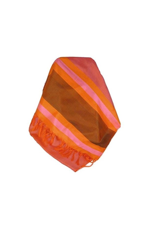 Pashmina & Silk Foulard de Soie Prime Varanasi Border Heritage Ganguly 901