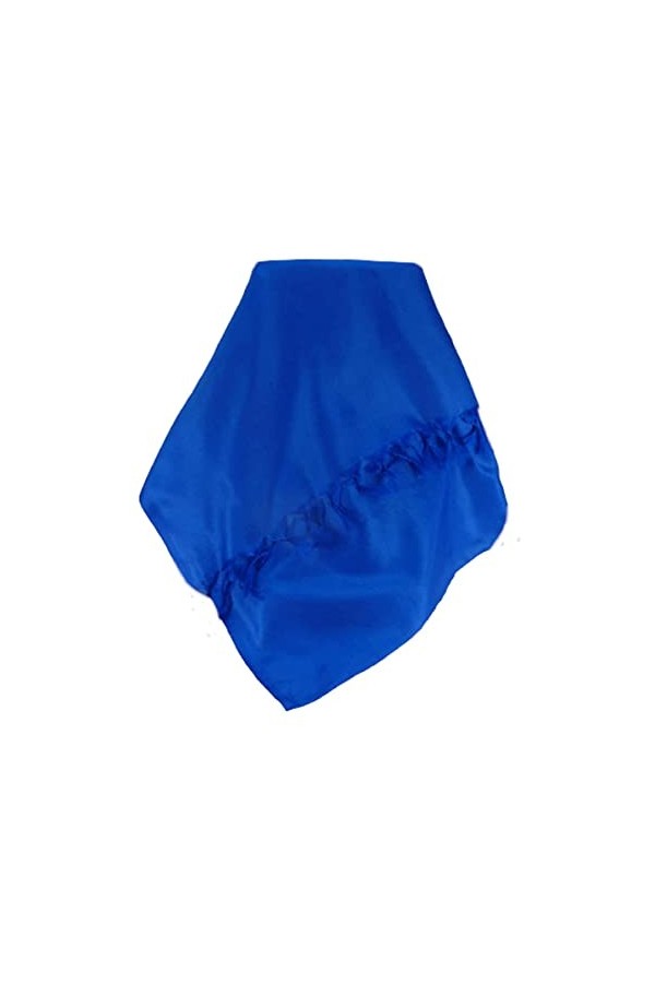 Pashmina & Silk Varanasi Foulard de Soie Nilma Blue Gamme Heritage
