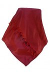 Pashmina & Silk Varanasi Foulard de Soie Bhatti Red Gamme Heritage