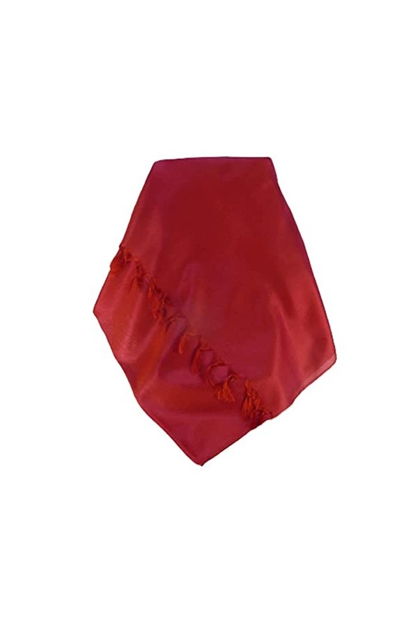 Pashmina & Silk Varanasi Foulard de Soie Kulkami Red Gamme Heritage