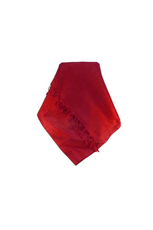 Pashmina & Silk Varanasi Foulard de Soie Rangasan Red Gamme Heritage