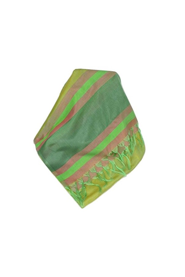 Pashmina & Silk Foulard de Soie Prime Varanasi Border Heritage Rajagopal 250