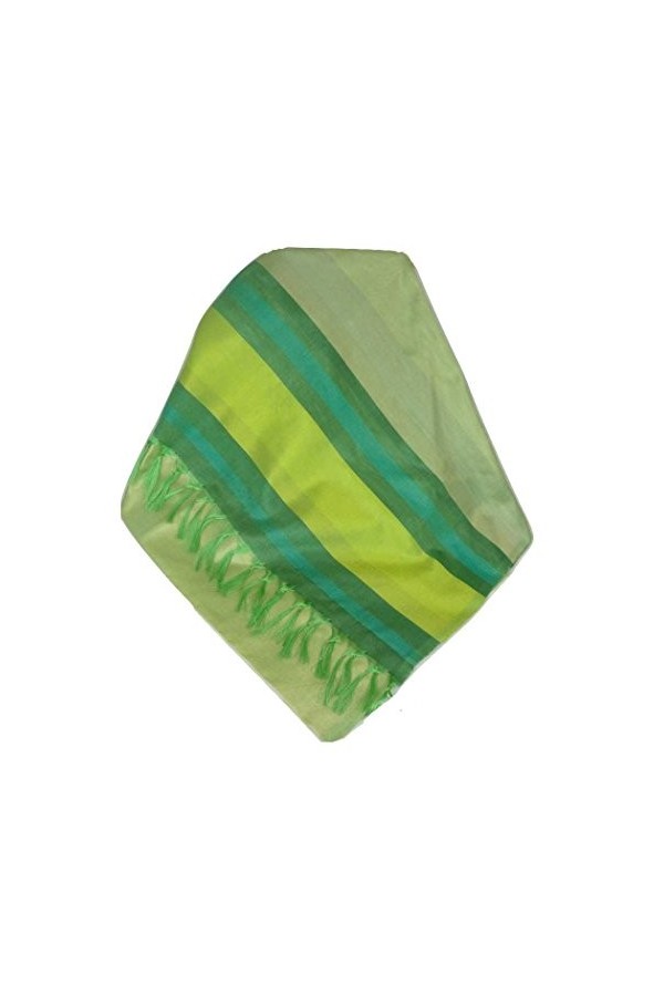 Pashmina & Silk Foulard de Soie Prime Varanasi Border Heritage Rajagopal 253