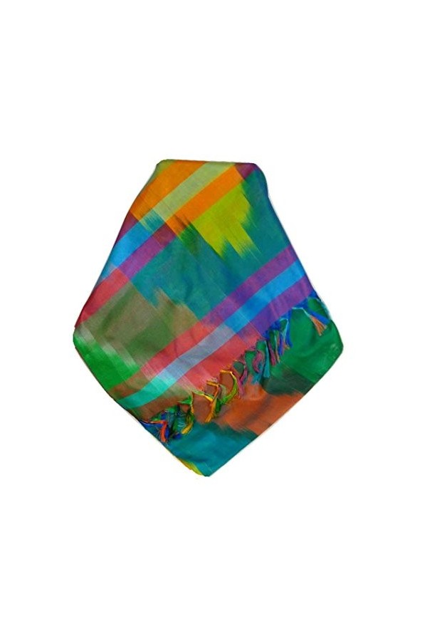 Pashmina & Silk Varanasi Ekal Foulard de Soie Bera 1 Gamme Heritage