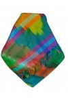 Pashmina & Silk Varanasi Ekal Foulard de Soie Bera 1 Gamme Heritage