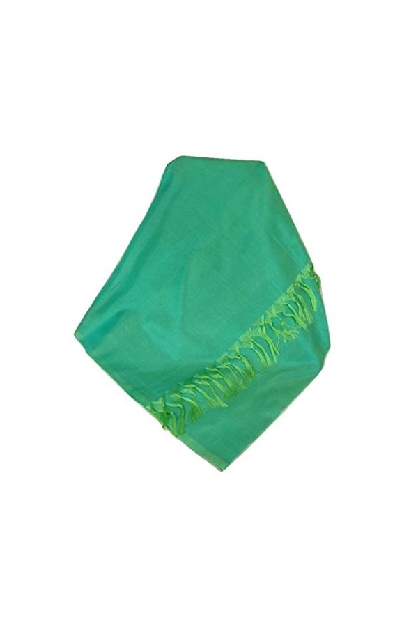 Pashmina & Silk Varanasi Foulard de Soie Sahni 3 Teal Gamme Heritage