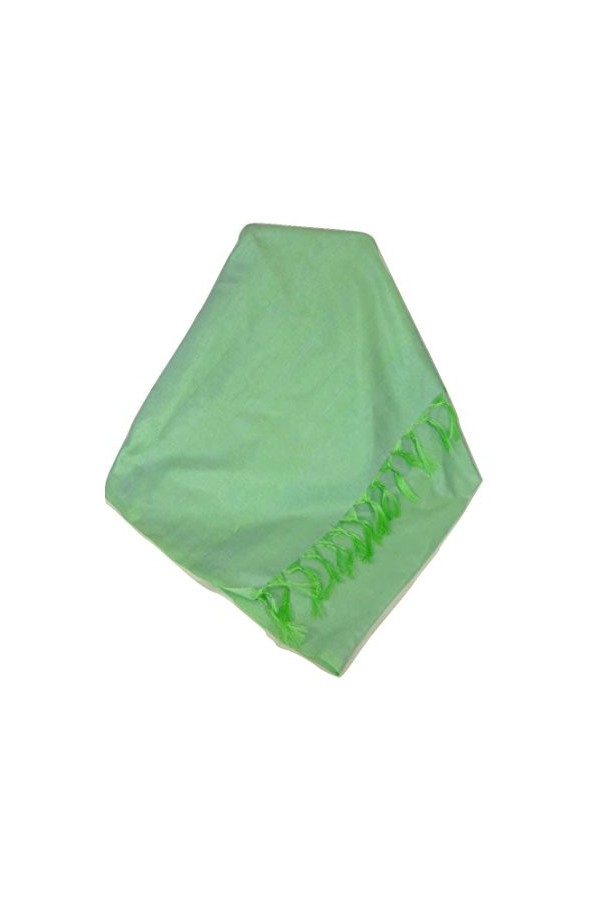 Pashmina & Silk Varanasi Foulard de Soie Sahni 5 Peppermint Gamme Heritage