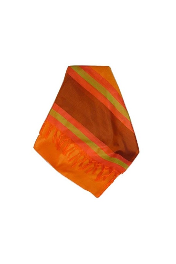 Pashmina & Silk Foulard de Soie Prime Varanasi Border Heritage Ganguly 913