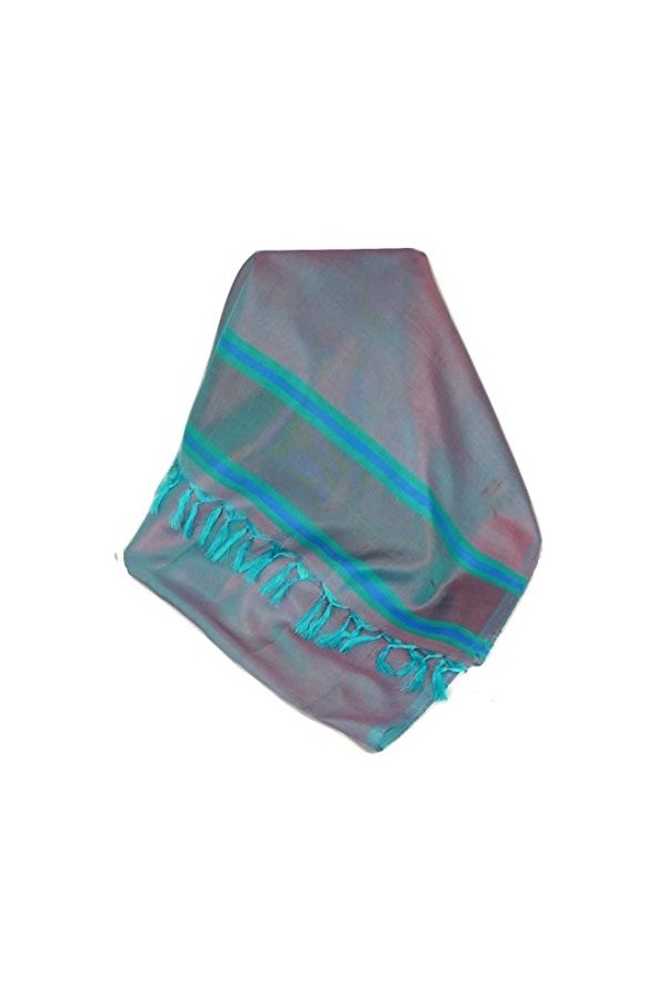 Pashmina & Silk Foulard de Soie Prime Varanasi Border Heritage Dasgupta 501