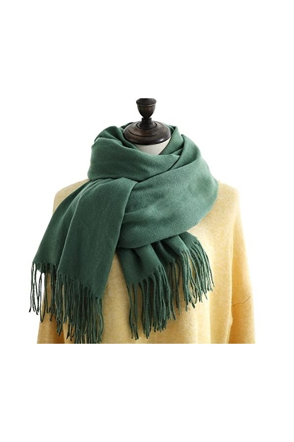 JGATW Écharpe Echarpe Foulard Femme Écharpes Dhiver Imitation Cachemire Sentence Pashmina Châle Enveloppe Soft Couverture Ch