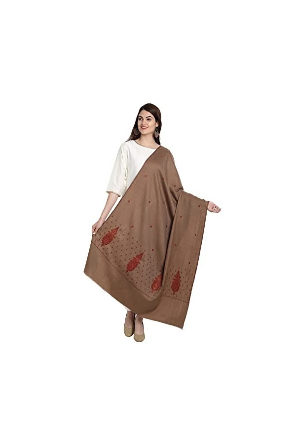 Kashmiri Sozni Écharpe en laine pashmina brodée style indien en papier mâché pour femme, taupe, Large