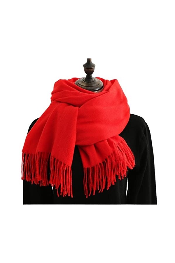 Echarpes Écharpe Echarpe Foulard Femme Écharpes dhiver Imitation Cachemire Sentence Pashmina Châle enveloppe Soft Couverture