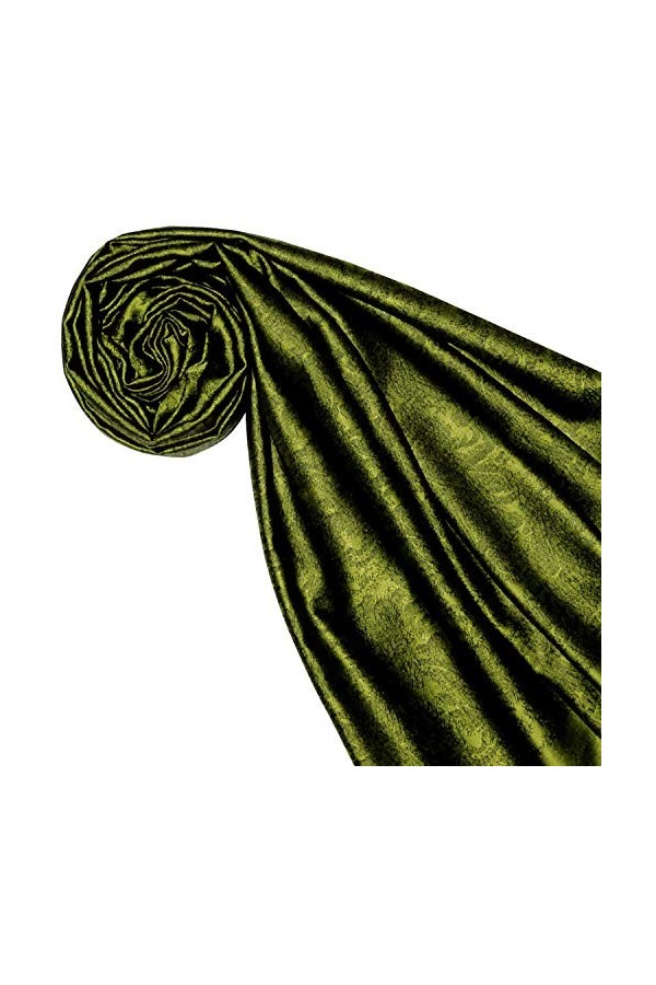 LORENZO CANA - Pashmina - Imprimé cachemire - Femme Vert vert/noir 70 x 190 cm