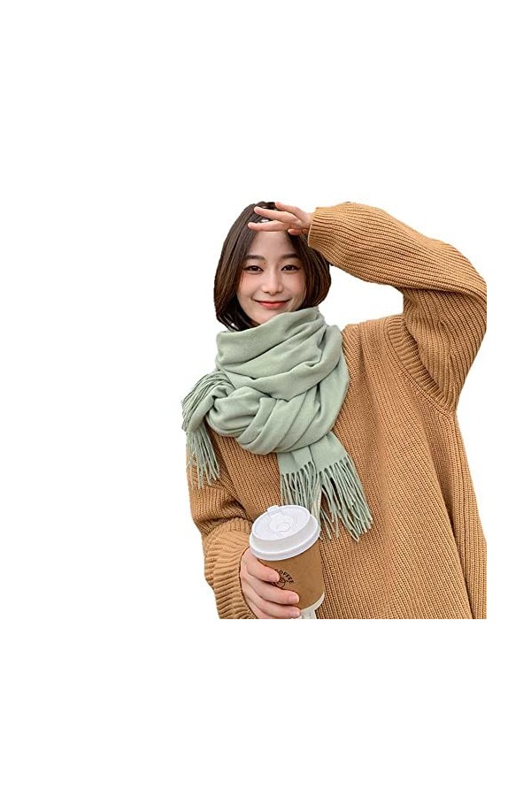 WSPDSD Écharpe en laine cachemire femme hiver couleur unie blanc châle écharpe automne hiver hommes imitation cachemire échar