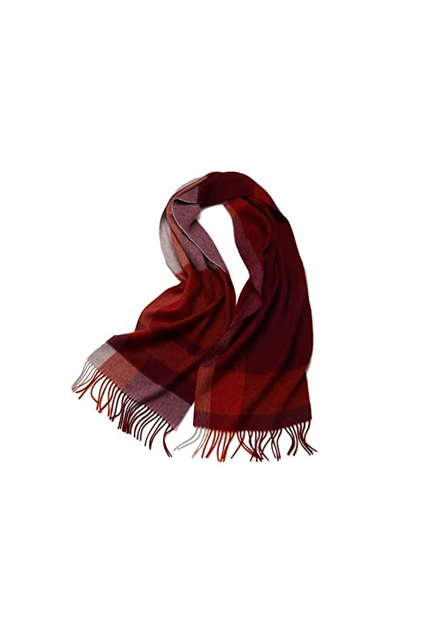 toiasnu Cachemire Écharpe, Unisex pour Hiver Chaud Grand Plaid Châle avec Gland Autum Et Hiver Foulard Convient pour Le froid