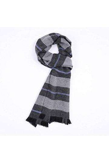 TYXL Foulard de Soie Femme, Écharpe Femme Écharpe Classique Hommes Écharpe dhiver Rayée Écharpe Chaude Premium Écharpe Confo