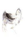 GRIFONI 80742 pashmina MAURO sciarpa foulard uomo donna scarf unisex [UNICA]