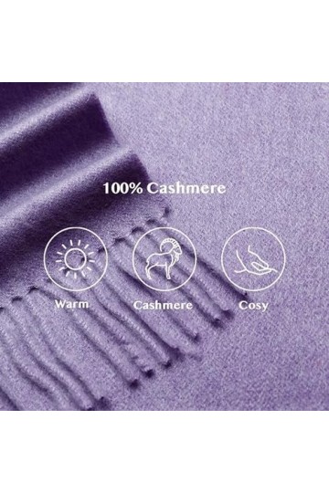 SEECOSY Écharpe pashmina 100 % pur cachemire - Écharpe classique chaude et douce, cadeau pour homme et femme, Violet lavande,