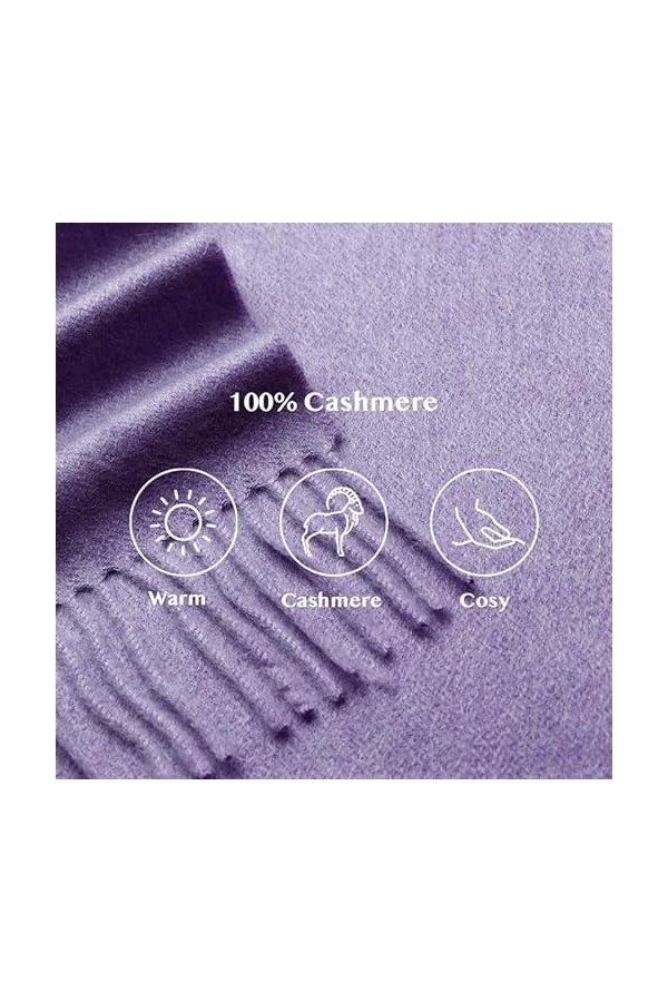 SEECOSY Écharpe pashmina 100 % pur cachemire - Écharpe classique chaude et douce, cadeau pour homme et femme, Violet lavande,