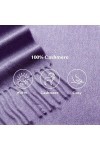 SEECOSY Écharpe pashmina 100 % pur cachemire - Écharpe classique chaude et douce, cadeau pour homme et femme, Violet lavande,