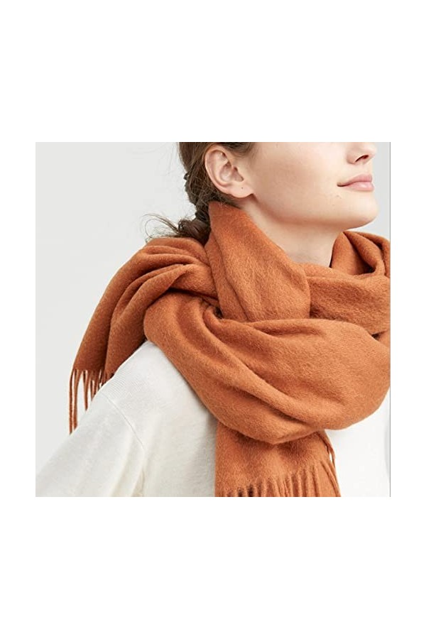 RFEGEF Echarpes Femme,Dames Écharpes Et Châles Marron Rétro Mode Laine Couleur Unie Épaissir Gland Long Doux Foulards dhiver