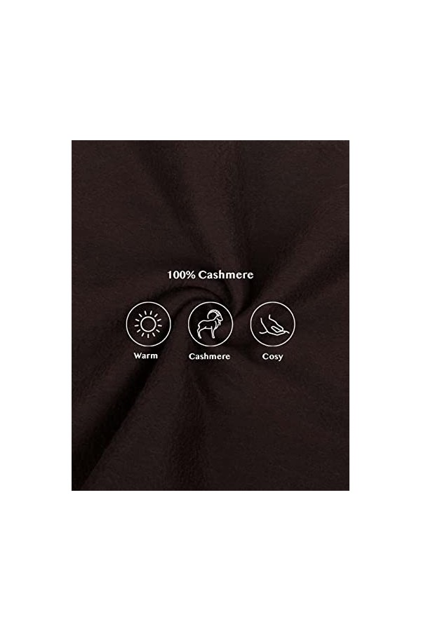 SEECOSY Écharpe pashmina 100 % pur cachemire - Écharpe classique chaude et douce, cadeau pour homme et femme, aubergine