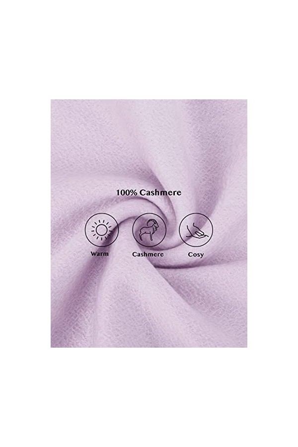 SEECOSY Écharpe pashmina 100 % pur cachemire - Écharpe classique chaude et douce, cadeau pour homme et femme, Rose pervenche