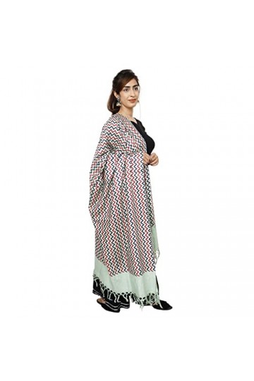 Handicraft Bazarr Châle traditionnel pashmina pour femme - Écharpe dhiver chaude pour mariage - En coton et soie - 213 x 122