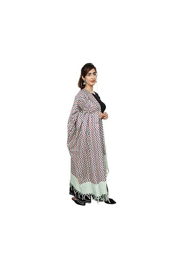 Handicraft Bazarr Châle traditionnel pashmina pour femme - Écharpe dhiver chaude pour mariage - En coton et soie - 213 x 122