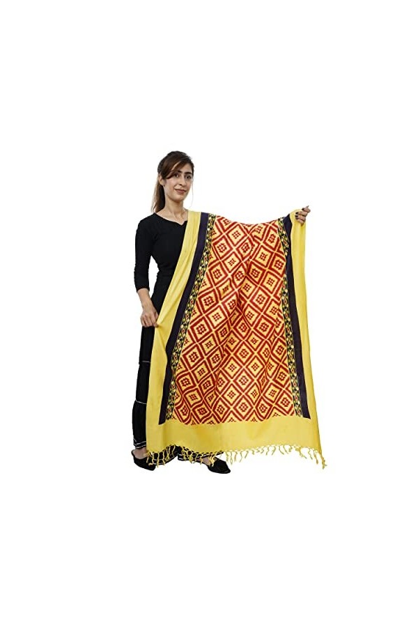 Handicraft Bazarr Châles de fête en cachemire pashmina en coton doux et soie pour femme pour toutes les saisons 213 x 122 cm