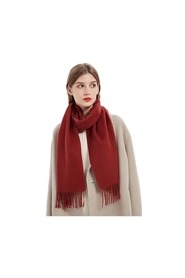 ZOOPX Écharpe en Cachemire Pashmina, châles et écharpes en Pashmina Doux pour Femmes pour Toutes Les Saisons,white-180X35cm