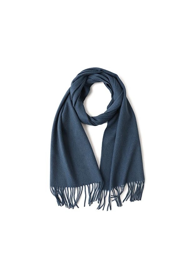 Foulard en Soie, Écharpes Couverture pour Femme Pashmina Doux Chaud Pashmina Châle Toute Tenue Toutes Saisons Accessoire Vête